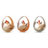 Les poules design décor de pâques