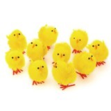 Poussins en chenille